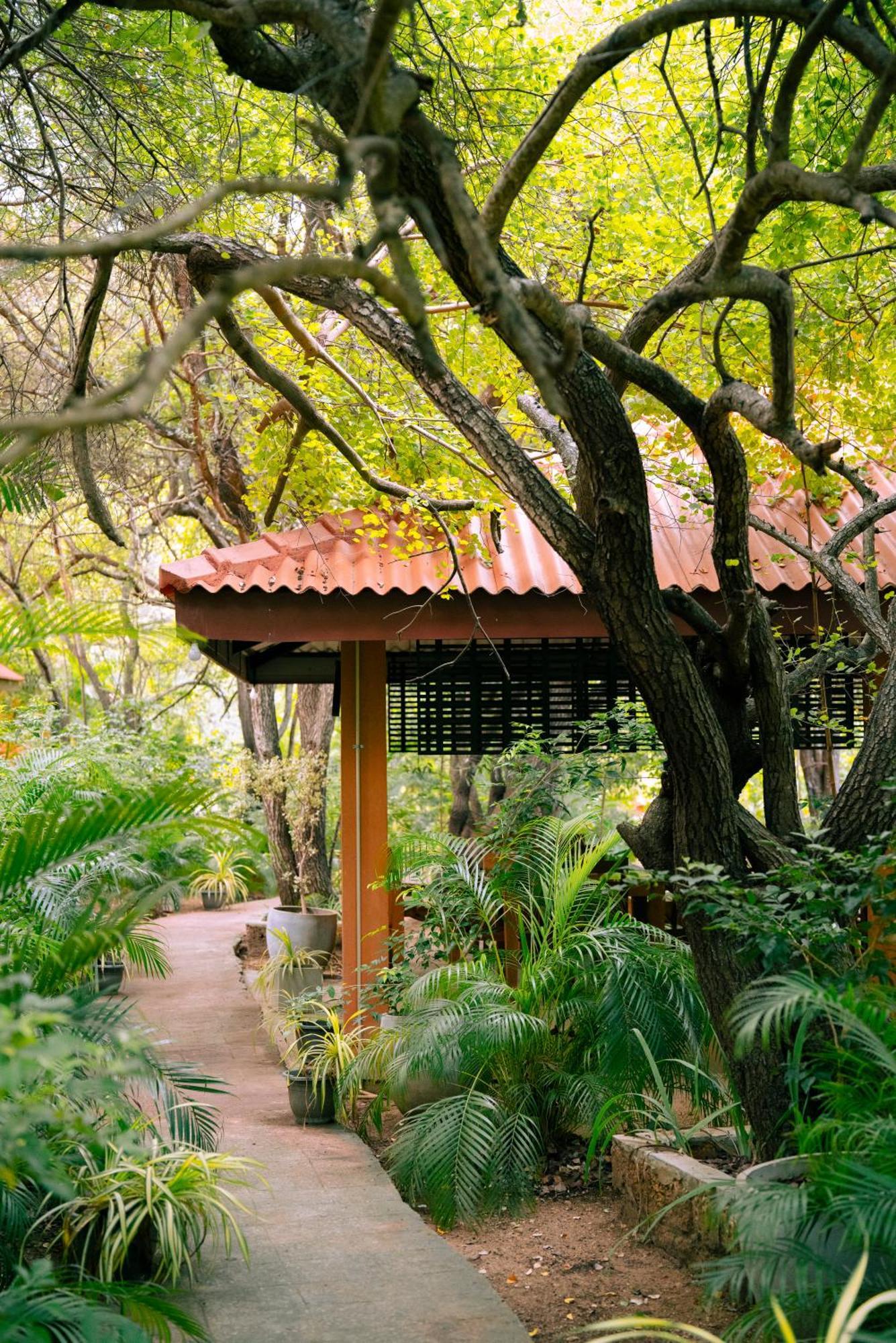 Safari Lodge Yala Kataragama Luaran gambar