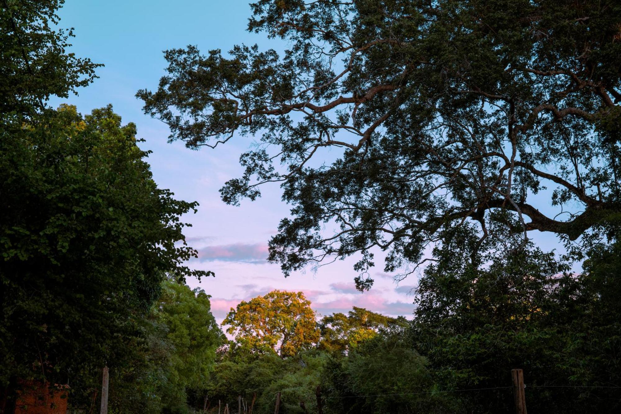 Safari Lodge Yala Kataragama Luaran gambar