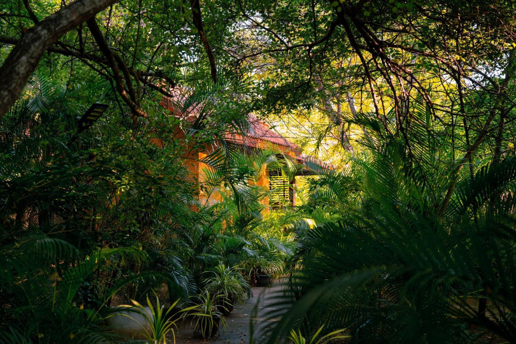 Safari Lodge Yala Kataragama Luaran gambar