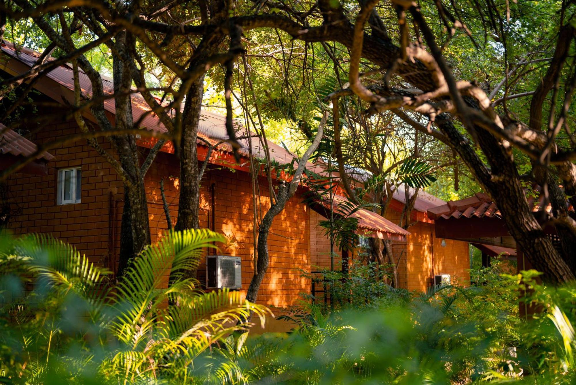 Safari Lodge Yala Kataragama Luaran gambar