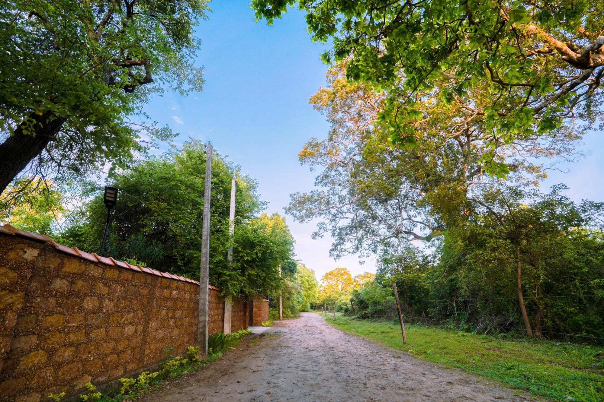 Safari Lodge Yala Kataragama Luaran gambar