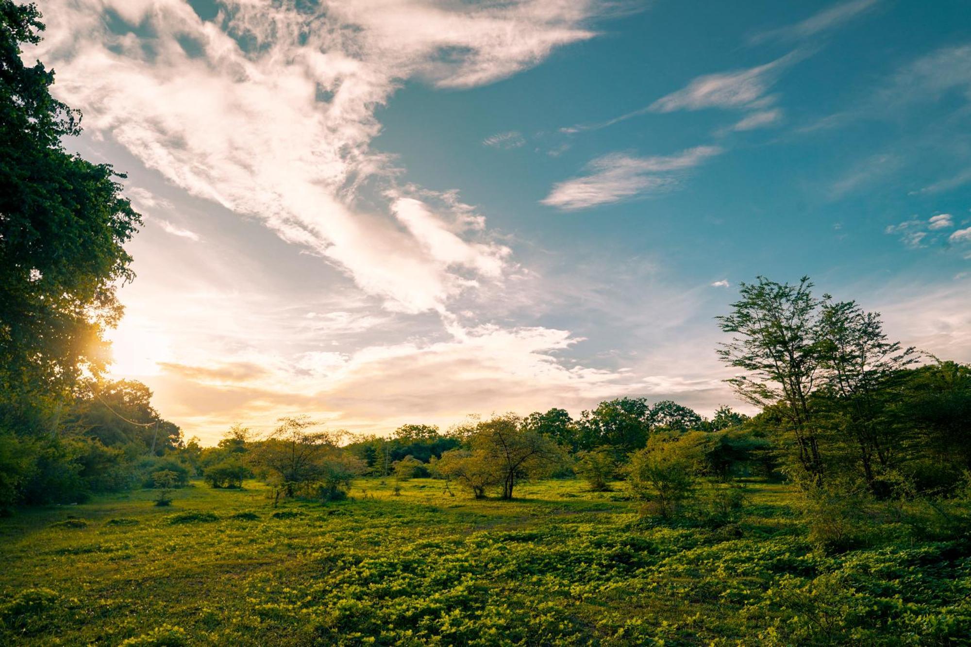 Safari Lodge Yala Kataragama Luaran gambar