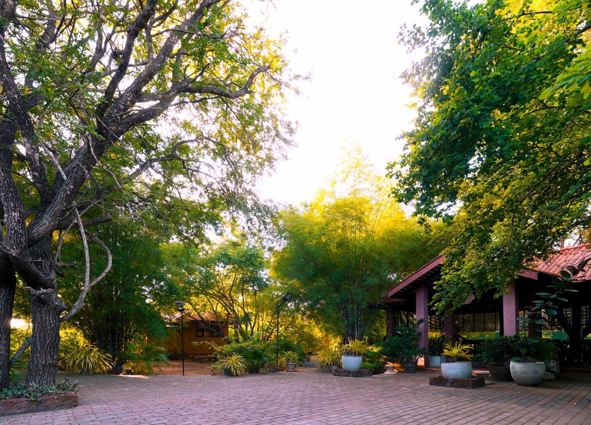 Safari Lodge Yala Kataragama Luaran gambar